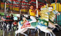 2022 New Carousel Ride For Sale|China Factory Pirce Merry Go Round For Sale