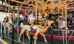 2022 New Carousel Ride For Sale|China Factory Pirce Merry Go Round For Sale