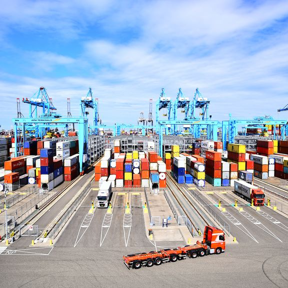 Shipping Cost PLUMMET, Catch The Best Procurement Time
