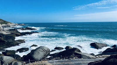 A Memorable Year-End Team Trip to Sanya: Bonding by the Sea