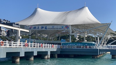 A Memorable Year-End Team Trip to Sanya: Bonding by the Sea