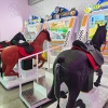 Скачки 1 масштабированные
