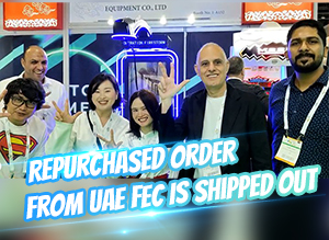 The Best Selling VR Game Machines To UAE FEC